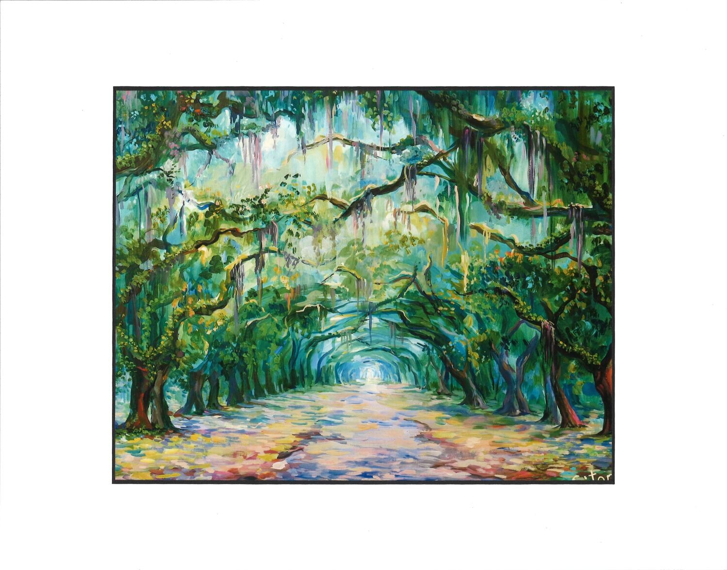 Wormsloe Historic Site, Savannah GA  16&quot; x 20&quot;