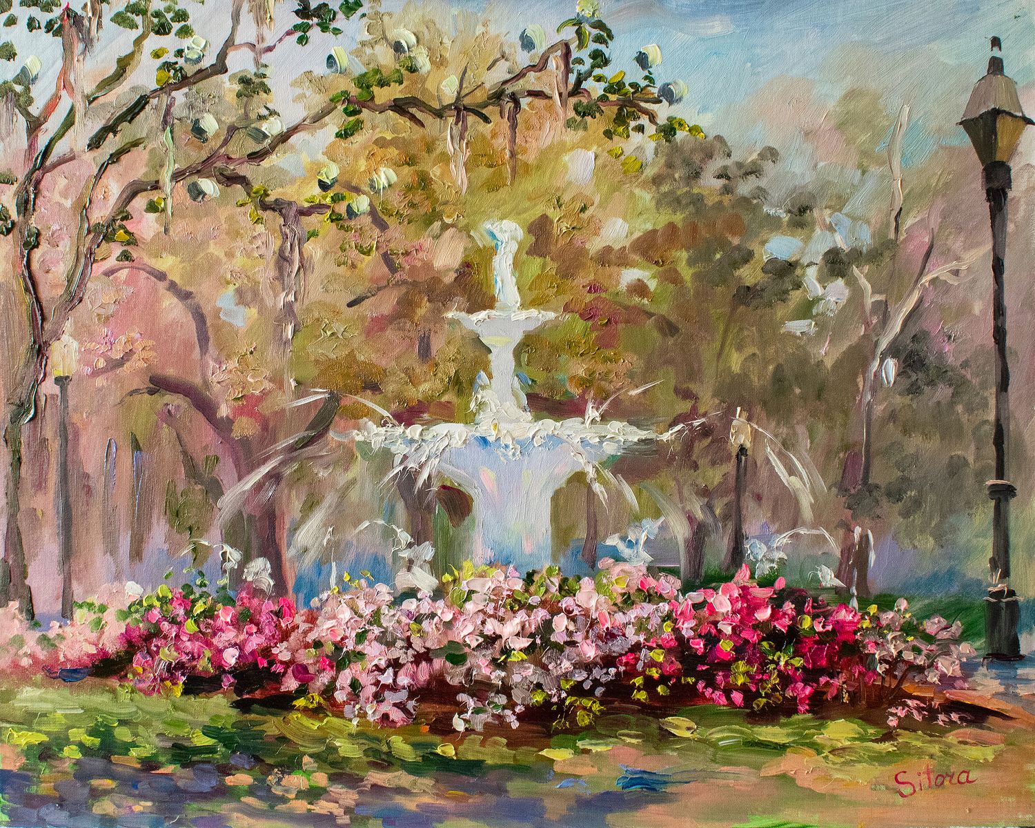 Morning Glow Forsyth Park Savannah GA