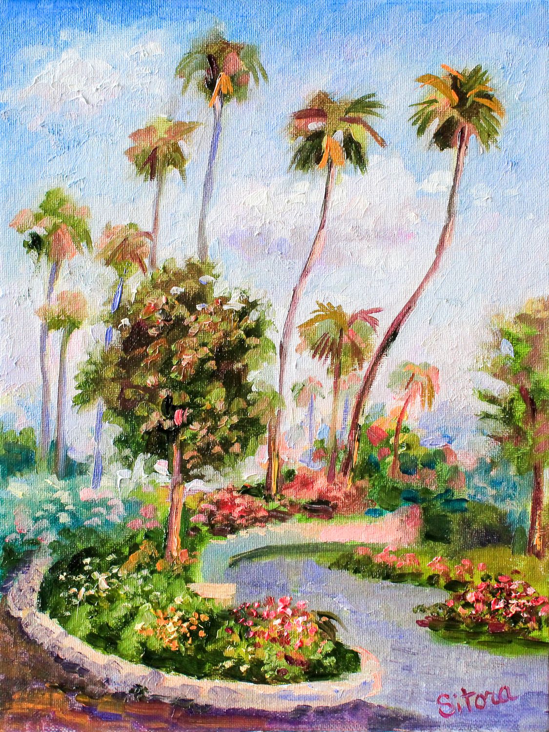 Palm Garden in Bloom  Lagun Beach CA