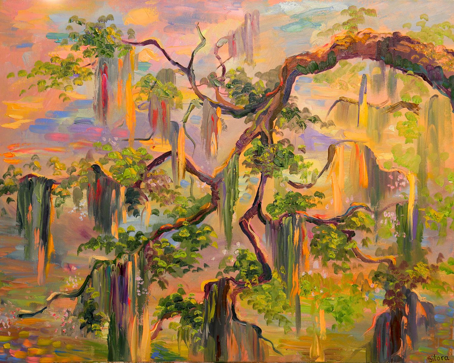 Print Spanish Moss at Sunset, Savannah GA