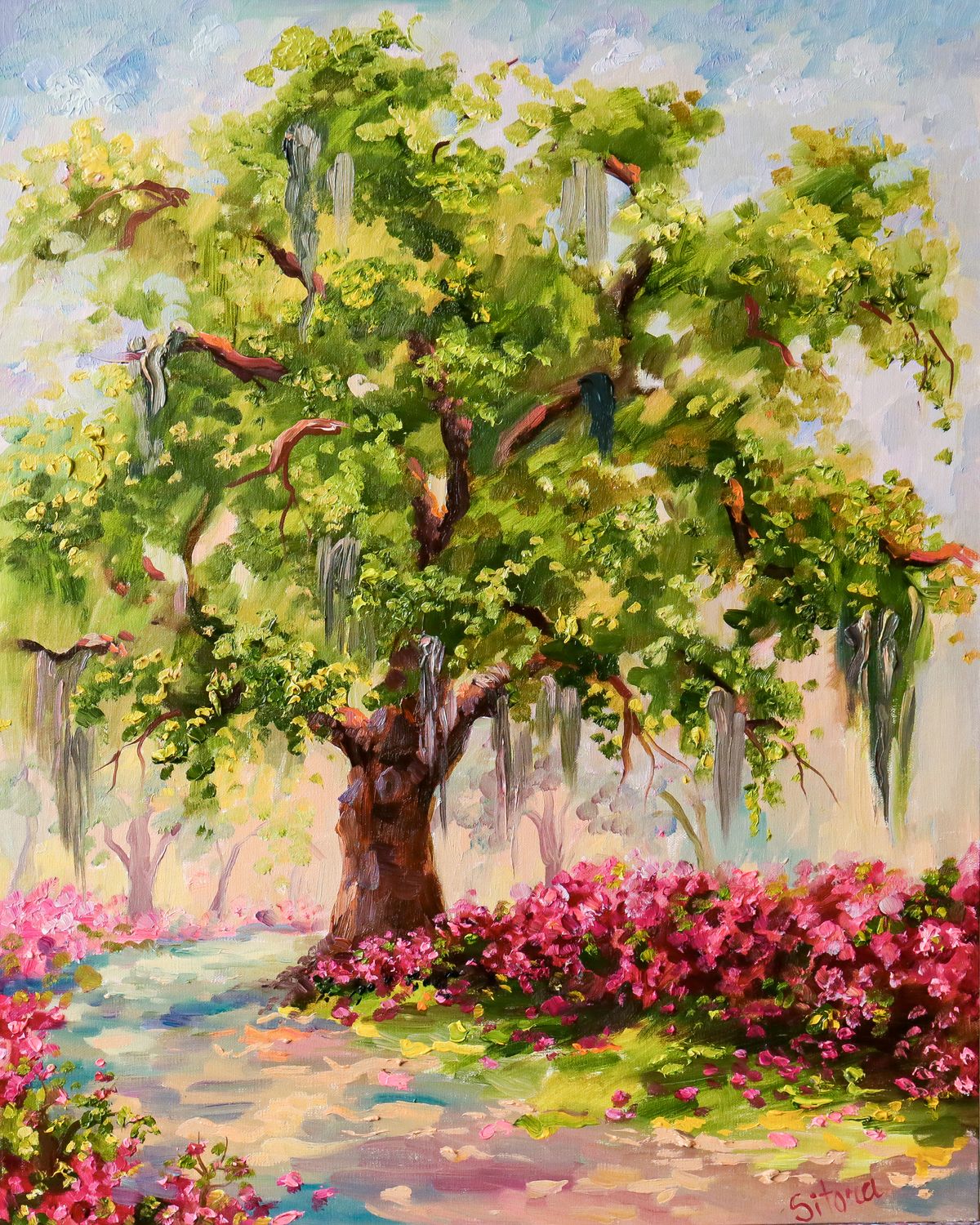 Print Bonaventure Cemetery Savannah GA  16" x20"