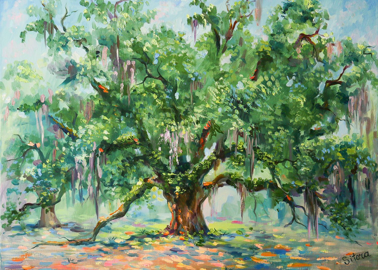 Print Candler Oak, Savannah GA  16" x 20"