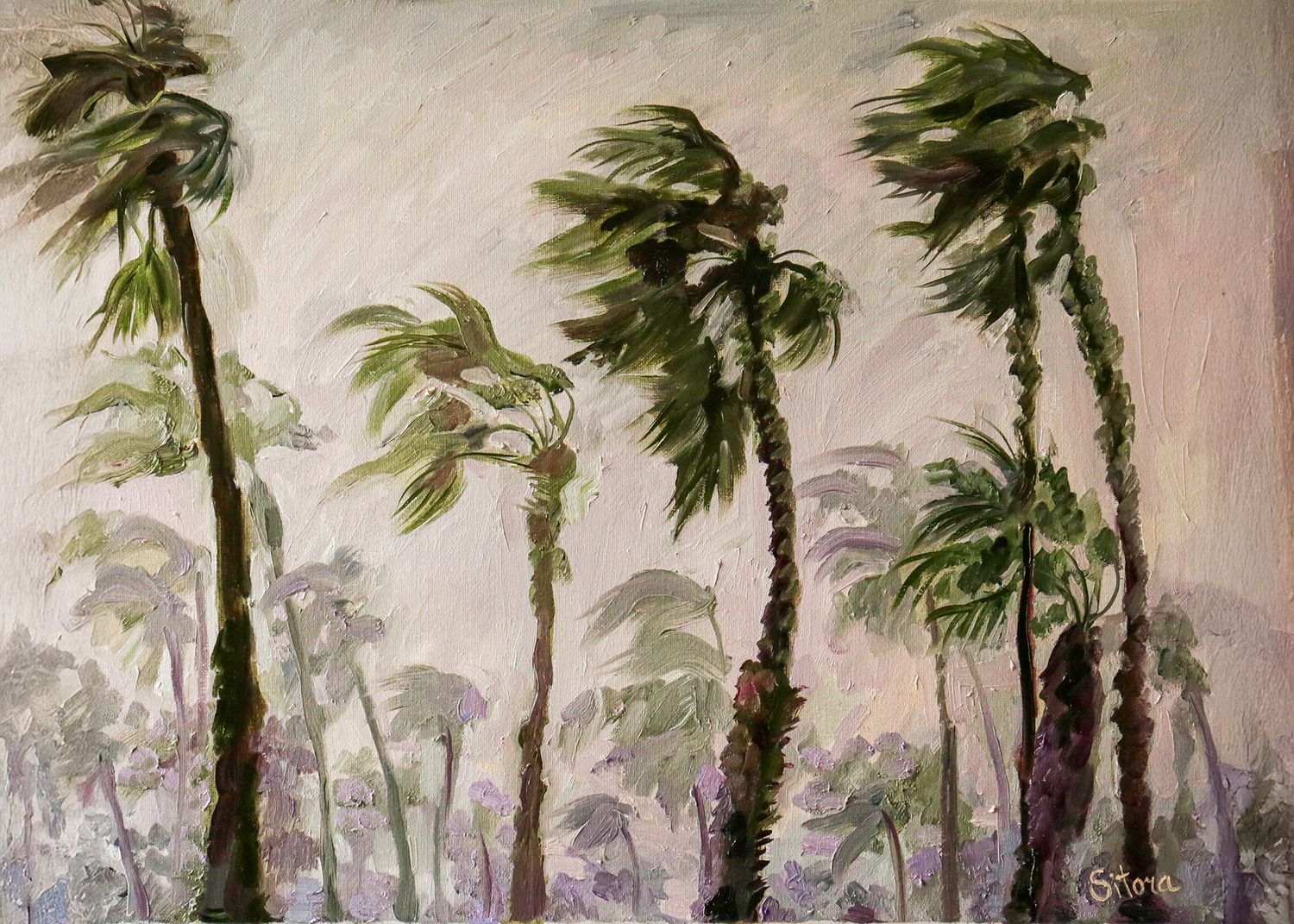 "When the Wind Speaks" Key West FL