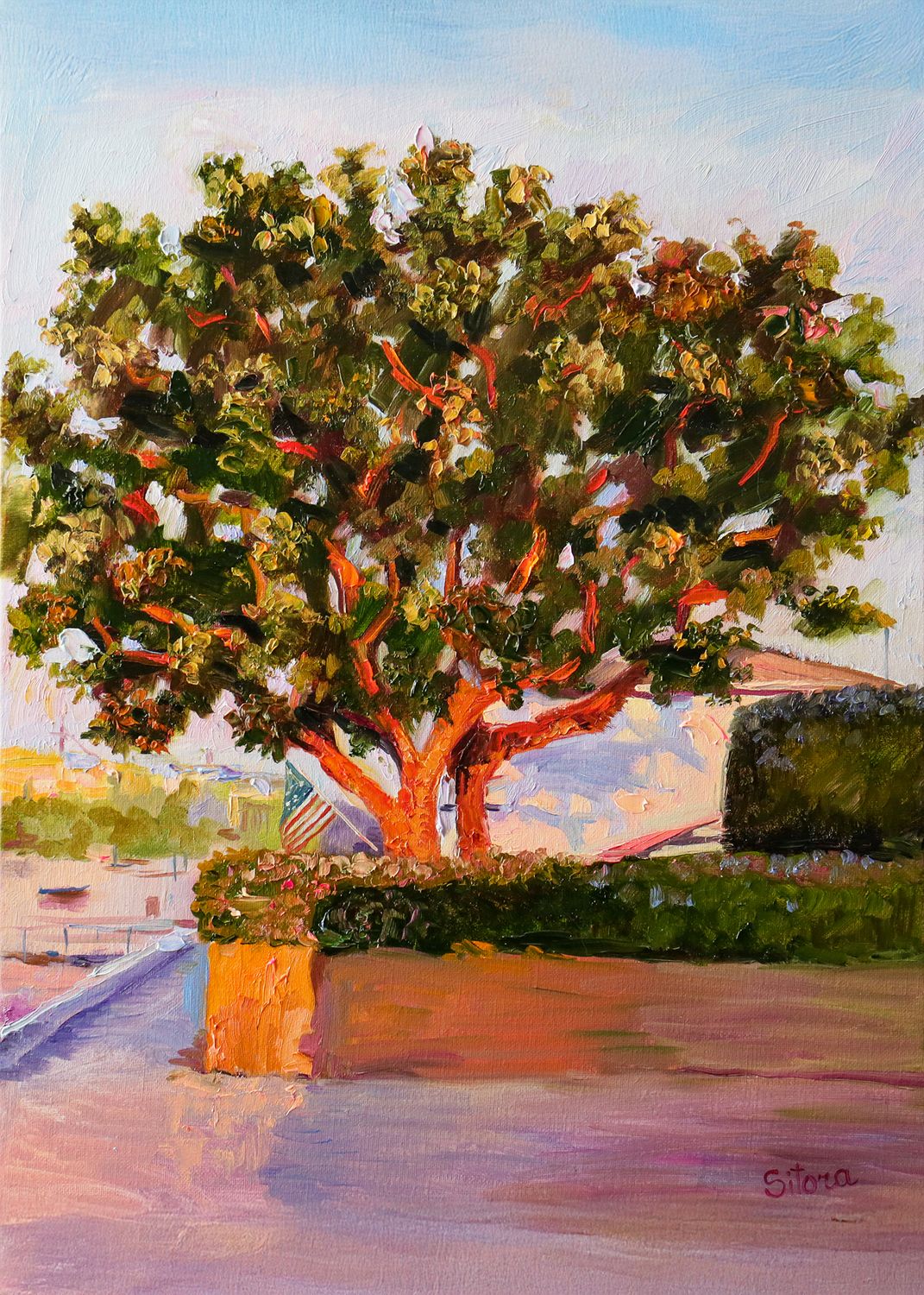 "Golden Hour on Marine Avenue" Balboa Island CA