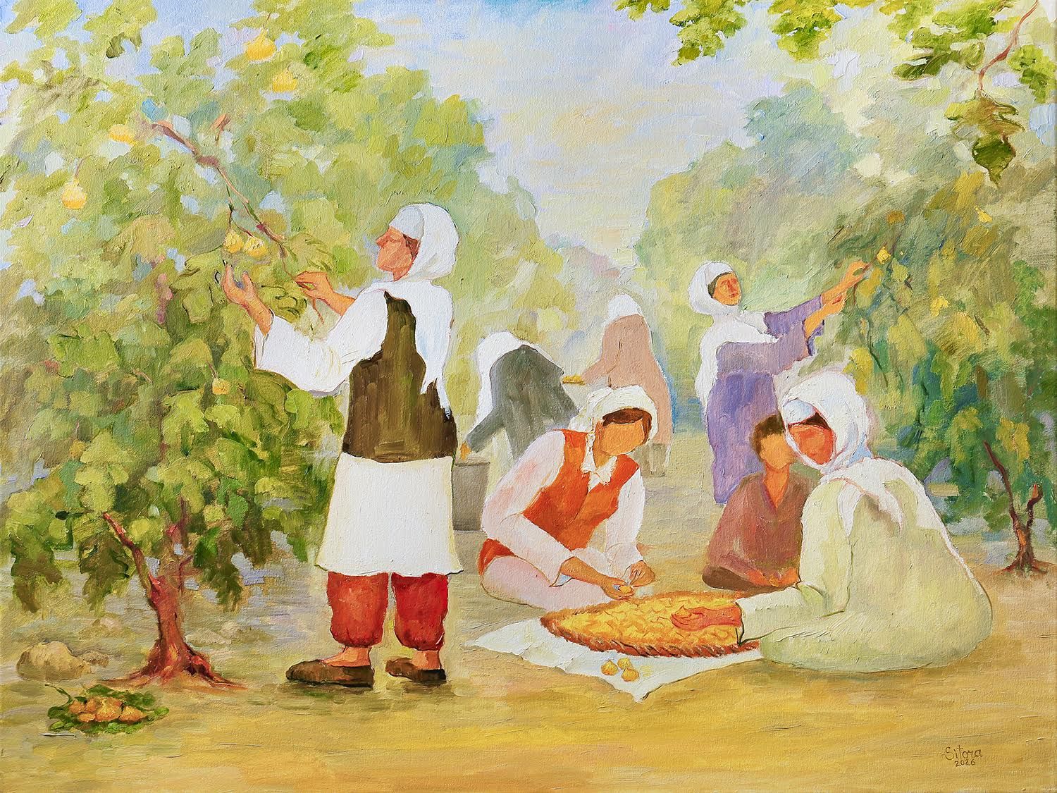 The Fig Harvest