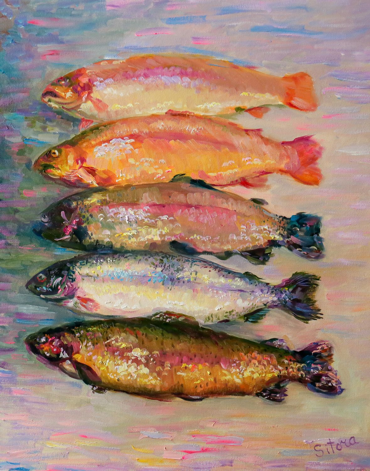 Rainbow Trout from Tadjikistan