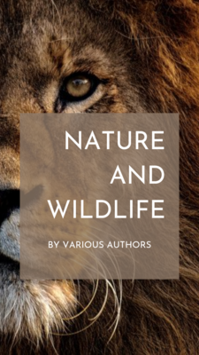 Nature &amp; Wildlife