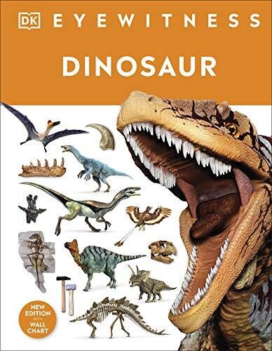 Dinosaur DK Findout