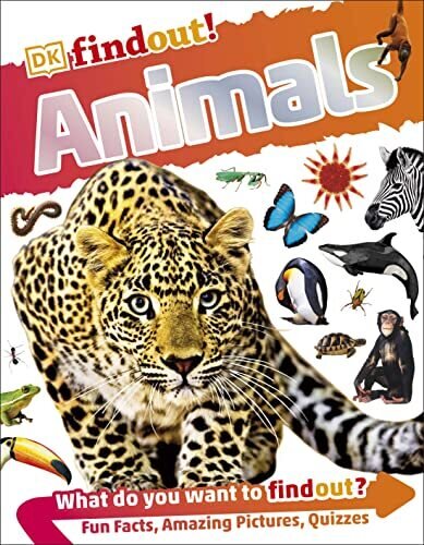 Animals DK Findout