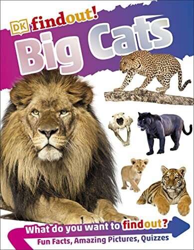 Big Cats DK Findout