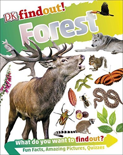 Forest DK Findout