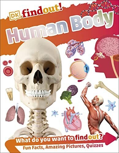 Human Body DK Findout