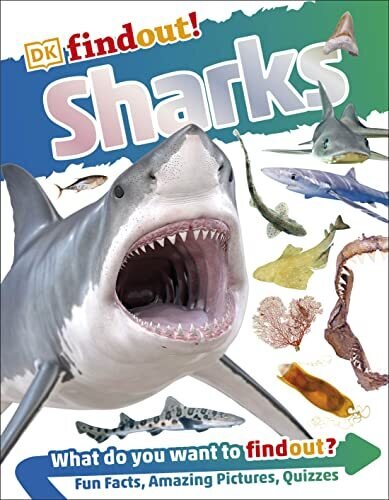 Sharks DK Findout