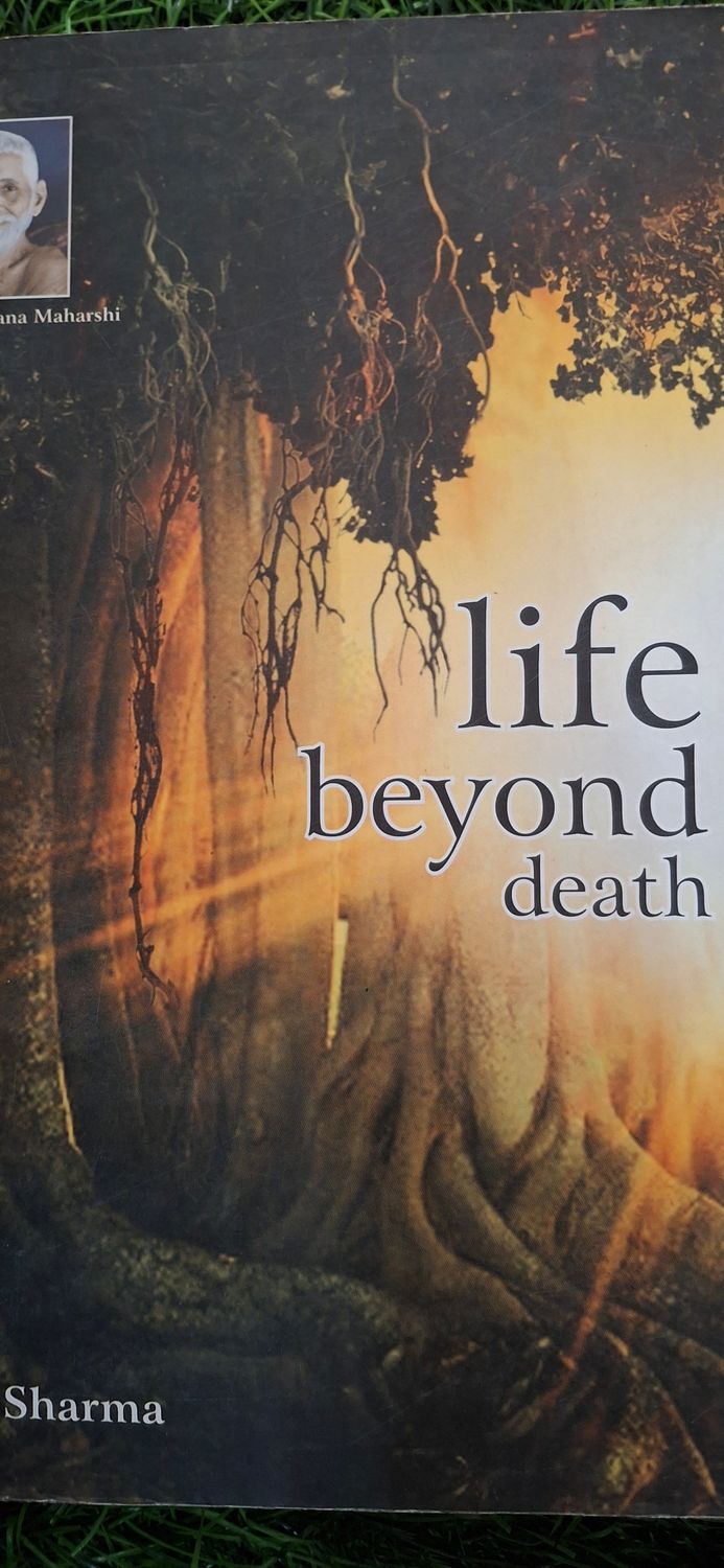 Life beyond death