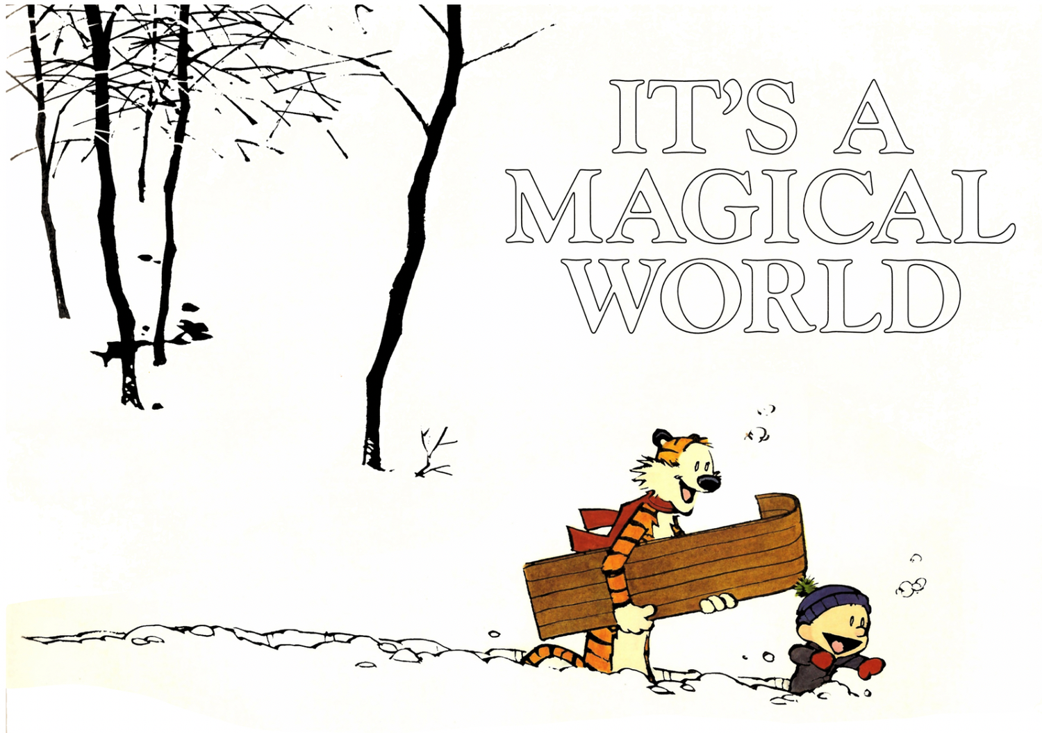 Calvin and Hobbes Complete Collection - 11 - It_s a Magical World