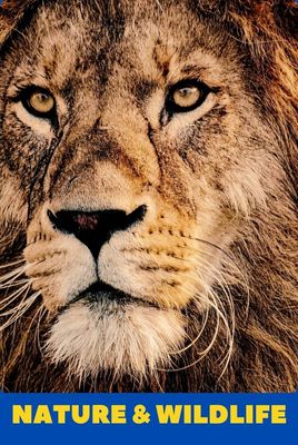 Nature &amp; Wildlife