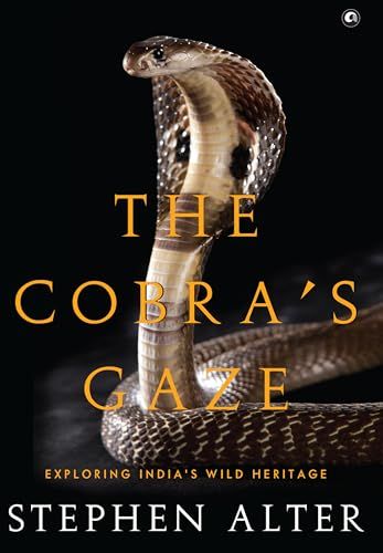 The Cobra&#39;s Gaze