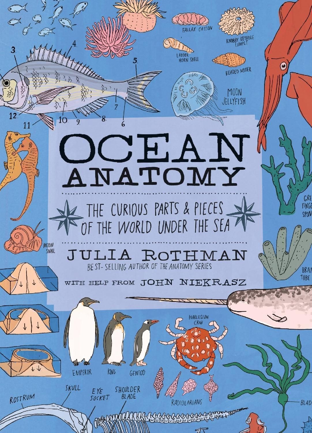 Ocean Anatomy_ The Curious Parts _ Pieces of the World Under the Sea