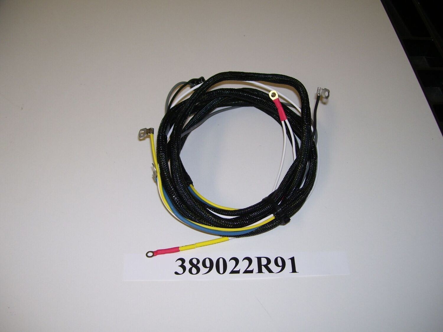 389022R1