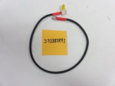 370387R91 (Cable Vacuum Switch to Ground)