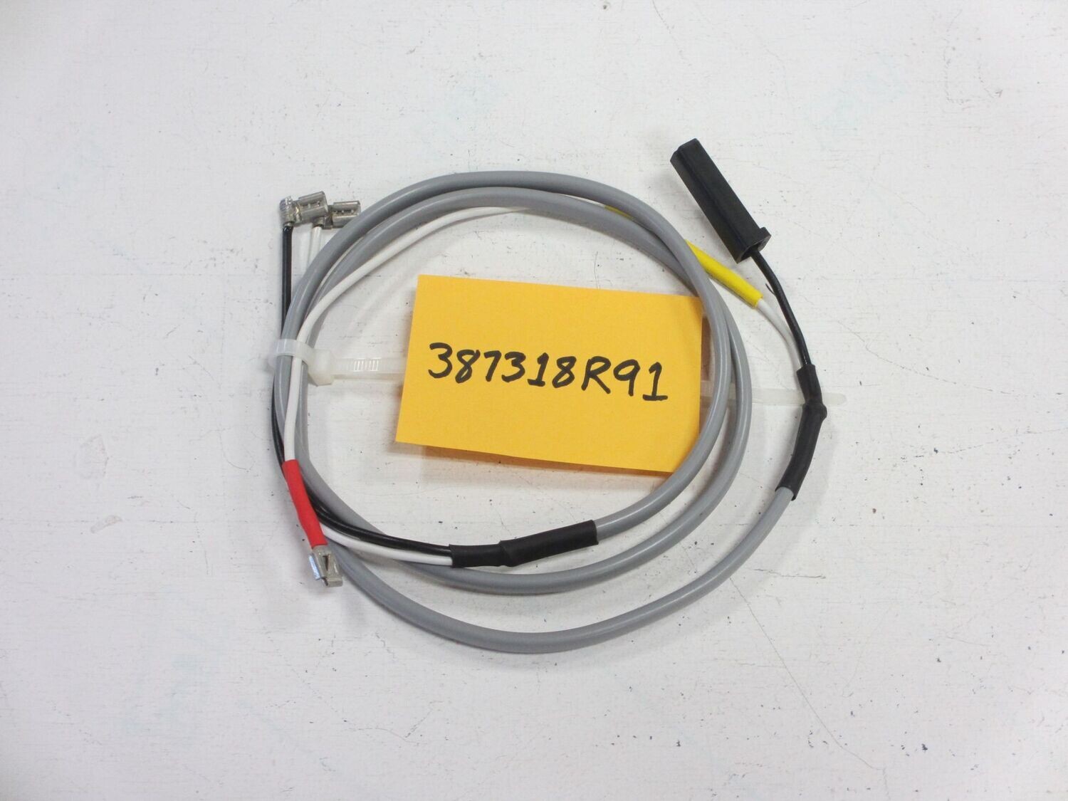 387318R91