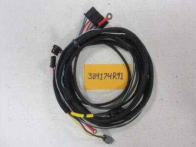 389174R91