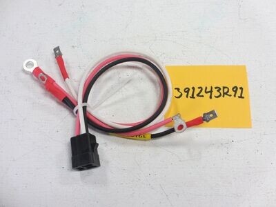 391243R91