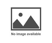 402990R1 - Fuse Holder for Cub Cadet