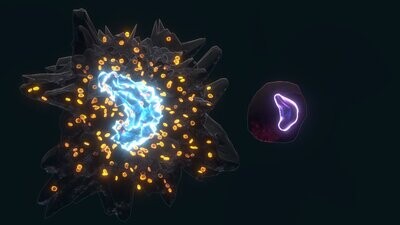 Macrophage and Monocyte