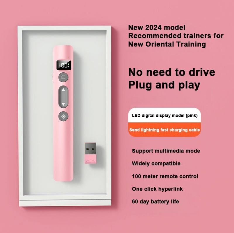 SMQ  professional LED Power Point laser pointer (USB Type C) with safety pouch. Pink colour