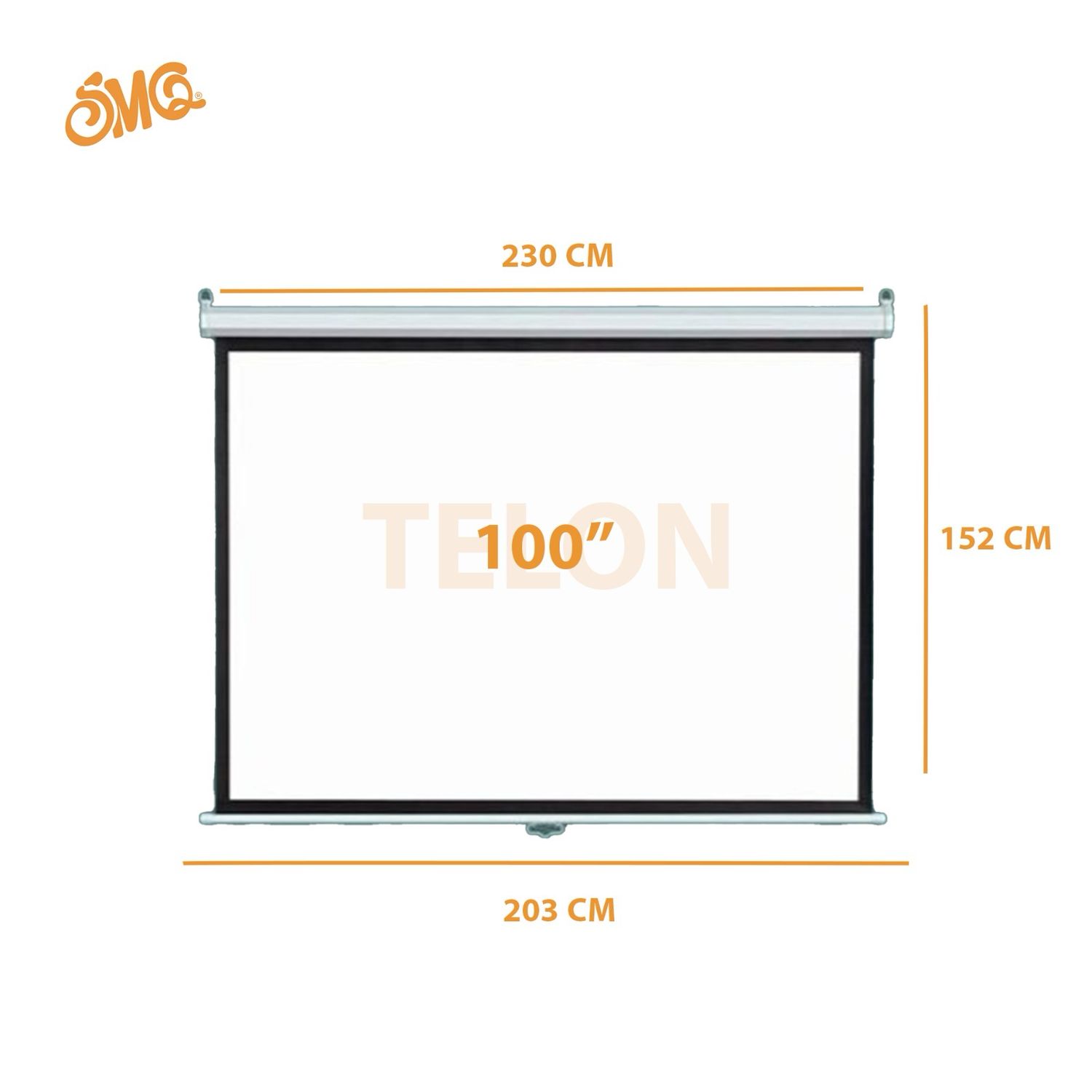 Projector screen mounted on the wall and ceiling 100&quot; TELON