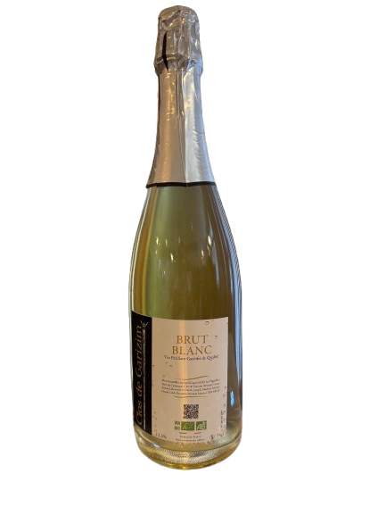 Vin Pétillant Blanc  Brut Biologique Vin de France