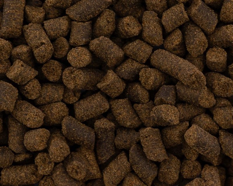 Axolotlfutter,gross (4-5mm), 500ml