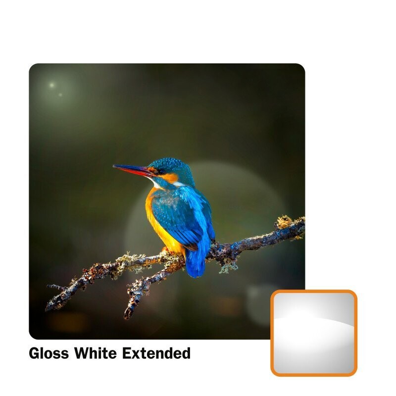 ChromaLuxe Extended sublimatie fotopaneel gloss white, diverse maten, 1,14mm dik