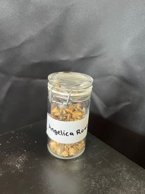 Angelica Root