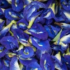 Butterfly Pea Flower
