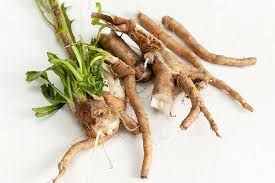 Chicory Root
