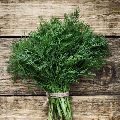 Dill Weed