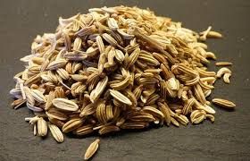 Fennel