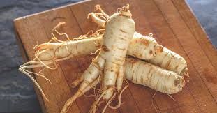 Gingko Root