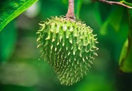 Guanabana (Soursop)