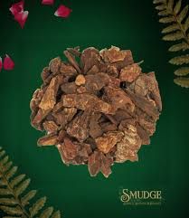 Jezebel Root