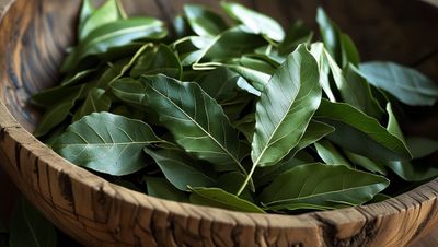 Bay Leaf