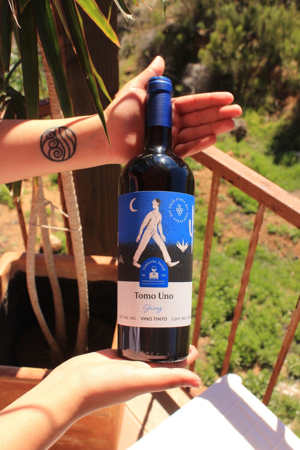Tomo uno Shiraz