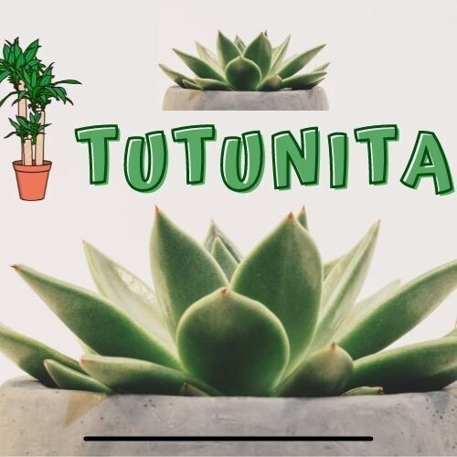 tutunita