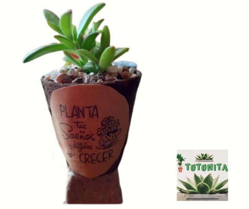 Tuna en oferta