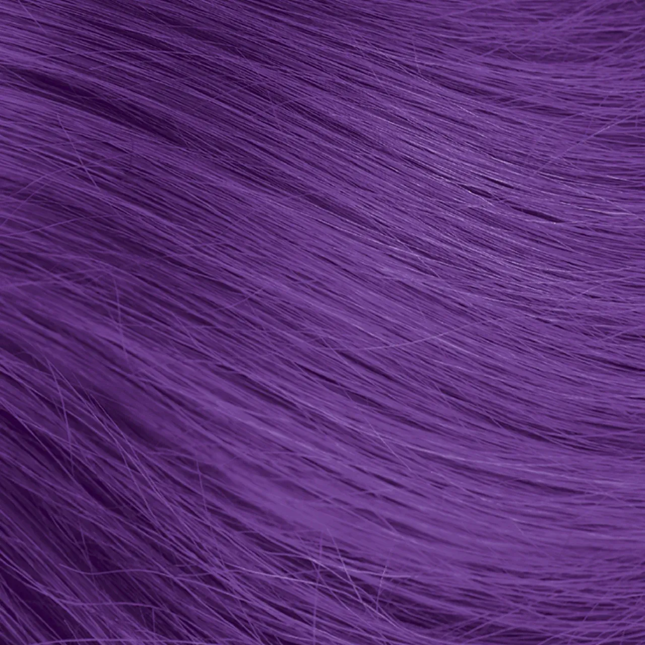 PURPLE REIN