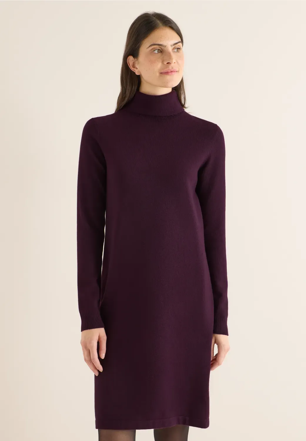 Cecil Cosy roll neck dress