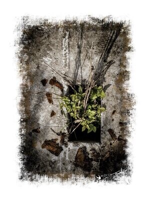 AMBITION -  natuur art - 60x40cm