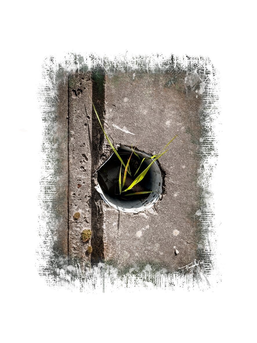 ASPIRATION - natuur art foto - 40x60cm
